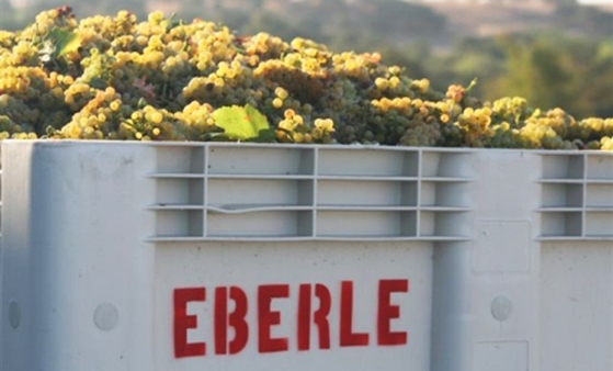 Eberle Winery feature