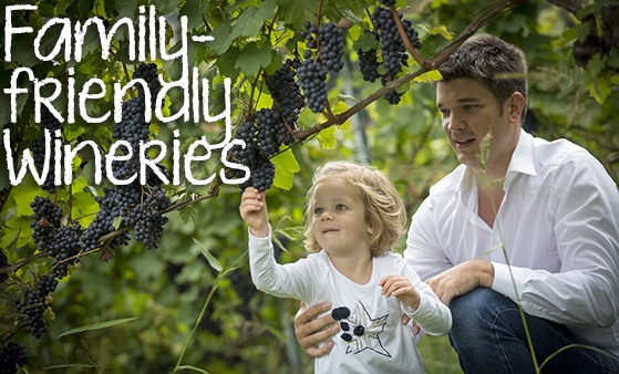 Episode #513 - Family-friendly Wineries